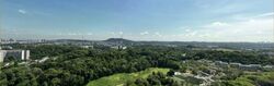 Pinetree Hill (D21), Condominium #407150641